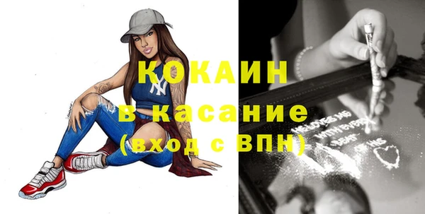 прущие грибы Аркадак