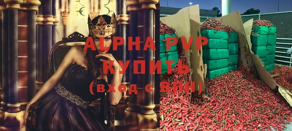 СК Арсеньев