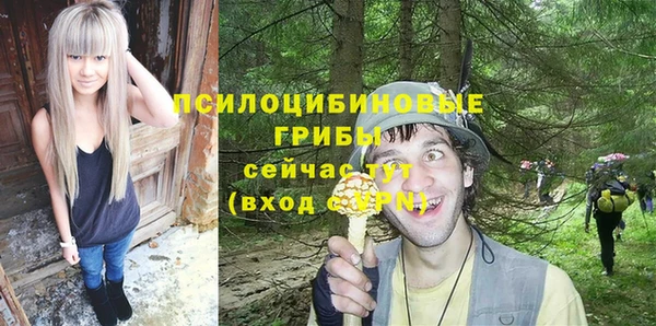СК Арсеньев
