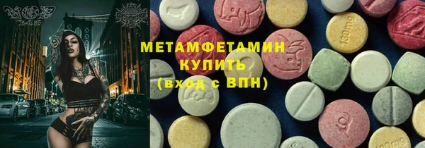прущие грибы Аркадак