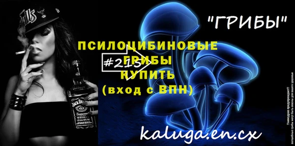 СК Арсеньев