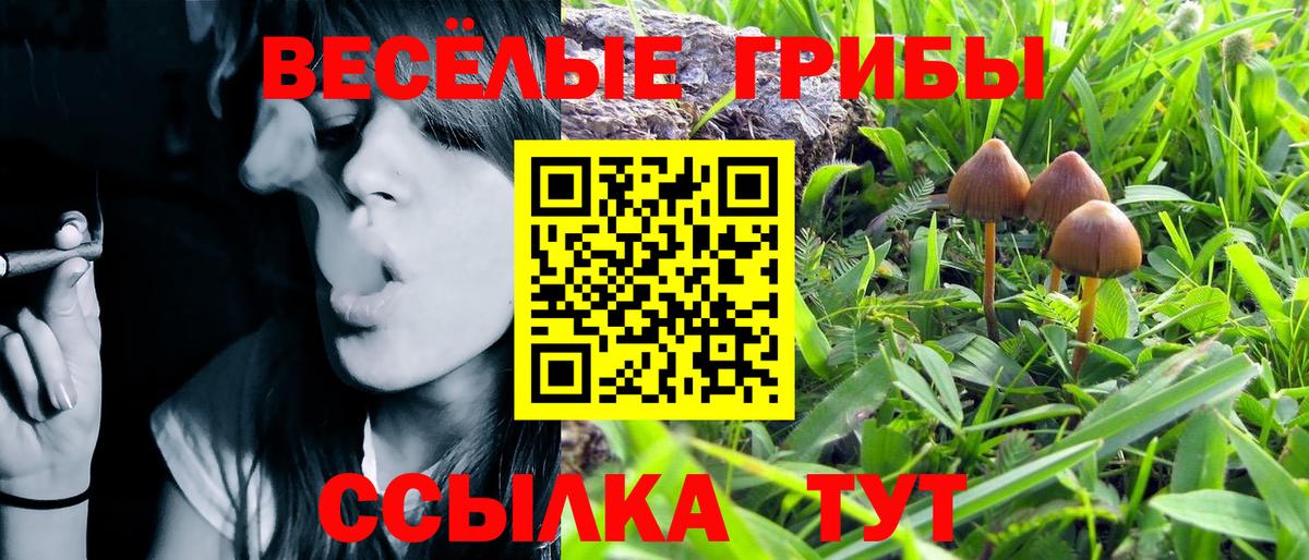 Галлюциногенные грибы Magic Shrooms Белово