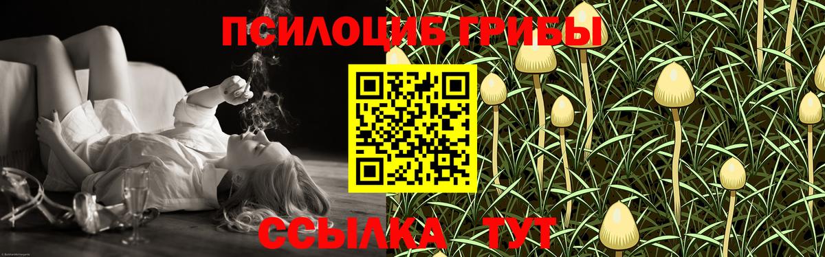 наркотики  Вход с VPN  Белово  Псилоцибиновые грибы Magic Shrooms 