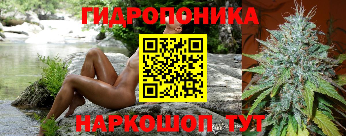 Бошки Шишки марихуана Белово